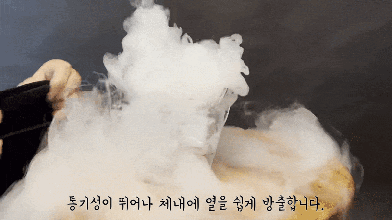 OBWN1ri9YEb4GdpKxo7wMr.gif