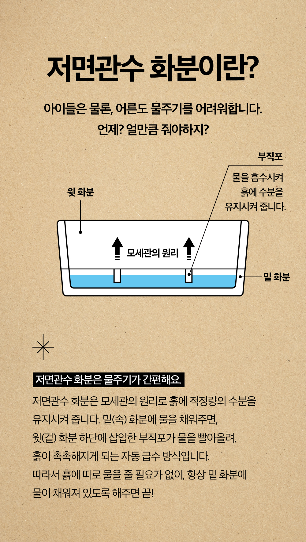 pd86mYXAvqTYFtHe4kvT4d8yx7R.jpg