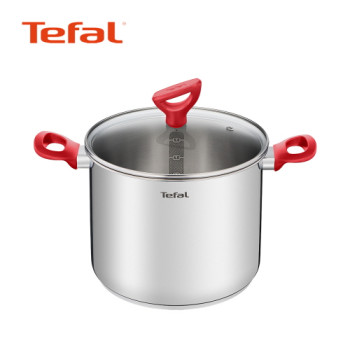 [Tefal] 에디션 레드 인덕션 곰솥냄비 22cm