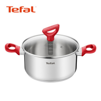 [Tefal] 에디션 레드 인덕션 양수냄비 24cm