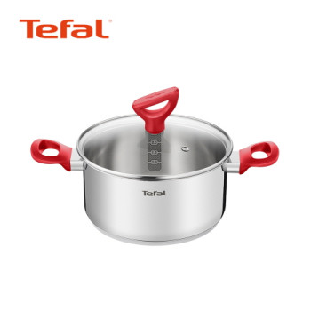 [Tefal] 에디션 레드 인덕션 양수냄비 20cm