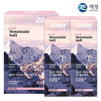 애경 2080히말라야핑크솔트치약 100g 2P